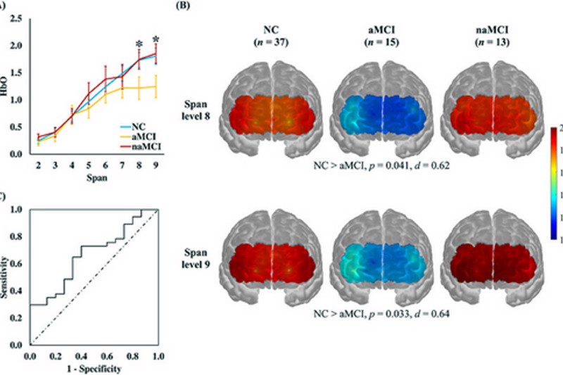 fNIRS as a biomarker for individuals with subjective memory complaints and MCI