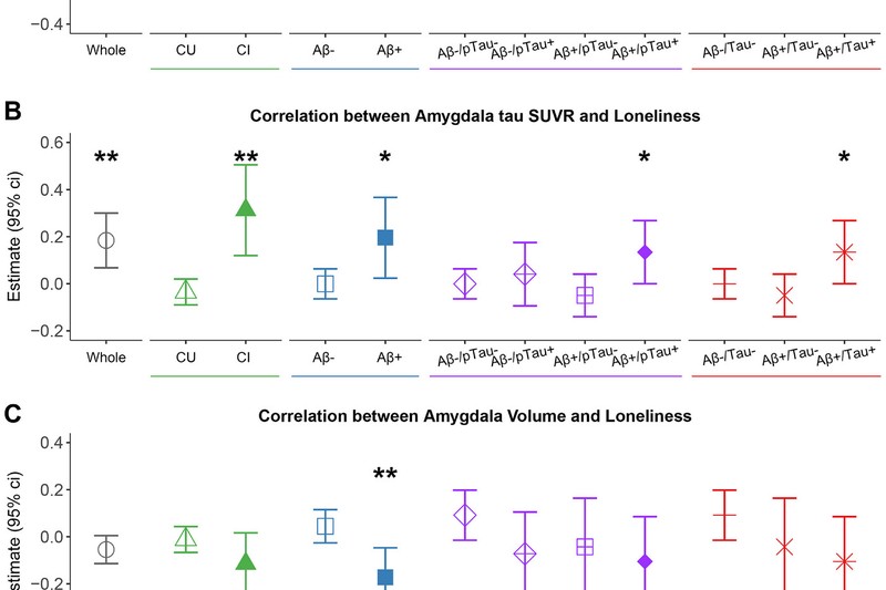 Lonely individuals show more tau pathology in Alzheimer's Disease