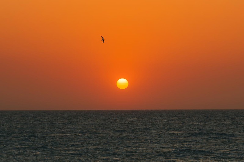 Social isolation and depression onset among middle-aged and older adults in China: Moderating effects of education and gender differences